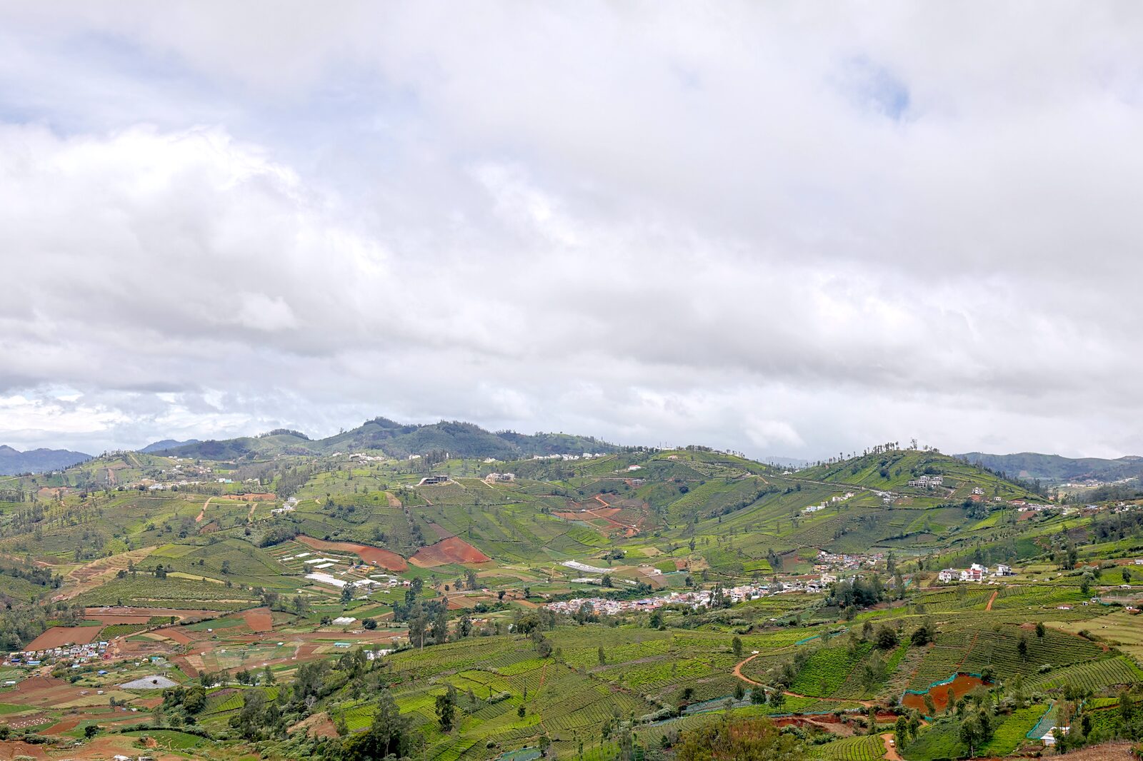 Panorama across the Nilgiri valley from Kattabettu, tea slopes falling away to distant hills